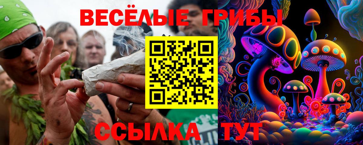 Псилоцибиновые грибы Cubensis  Псилоцибиновые грибы MAGIC MUSHROOMS  Вход с VPN  Старый Оскол 